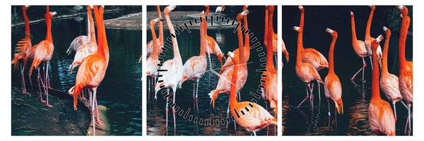 Flamingók csordája (órával) (90x30 cm)