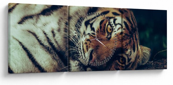 Kép - Szibériai tigris (órával) (90x30 cm)