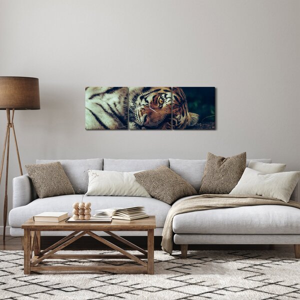 Kép - Szibériai tigris (órával) (90x30 cm)