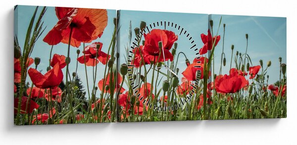 Kép - Pipacsos mező (órával) (90x30 cm)