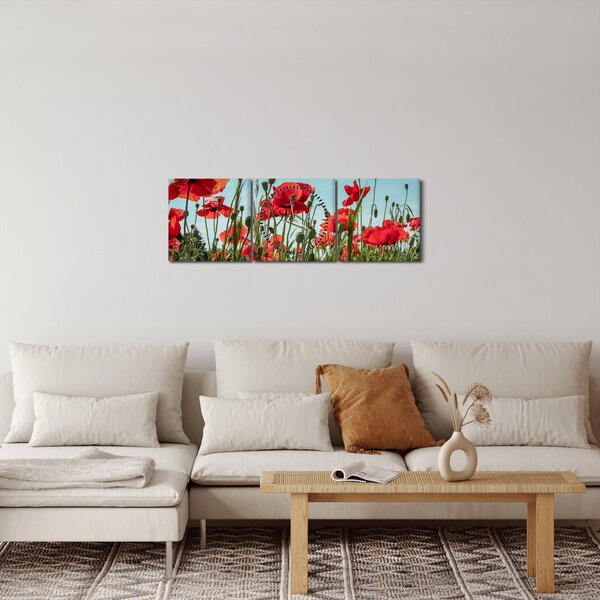 Kép - Pipacsos mező (órával) (90x30 cm)