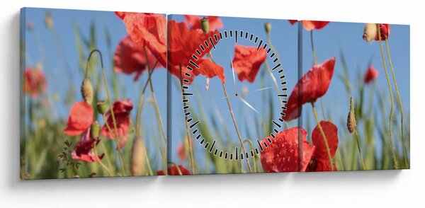 Kép - Pipacsok (órával) (90x30 cm)