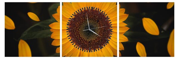 Kép - Napraforgók és a virágszirmok (órával) (90x30 cm)