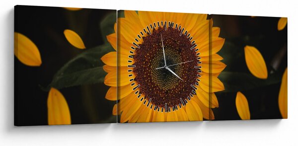 Kép - Napraforgók és a virágszirmok (órával) (90x30 cm)
