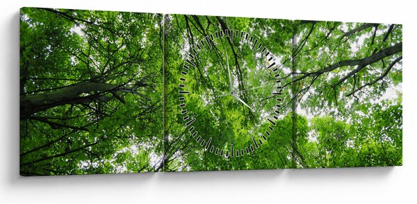 Kép - Kilátás a fák tetejére (órával) (90x30 cm)