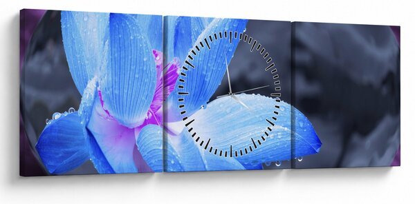 Egy virág képe részletesen (órával) (90x30 cm)