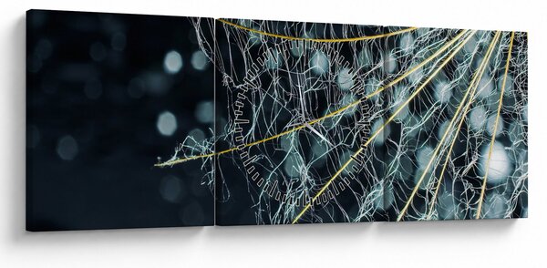 Kép - Virág pókhálóval (órával) (90x30 cm)