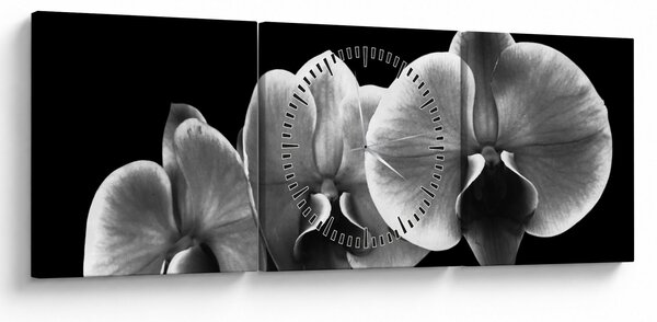 Egy orchidea virág képe (órával) (90x30 cm)