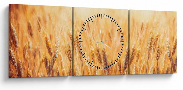 Kép - mező gabonával (órával) (90x30 cm)