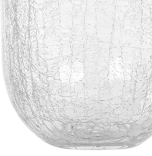 Virágtartó váza KYRAKALI Üveg 28 cm Átlátszó