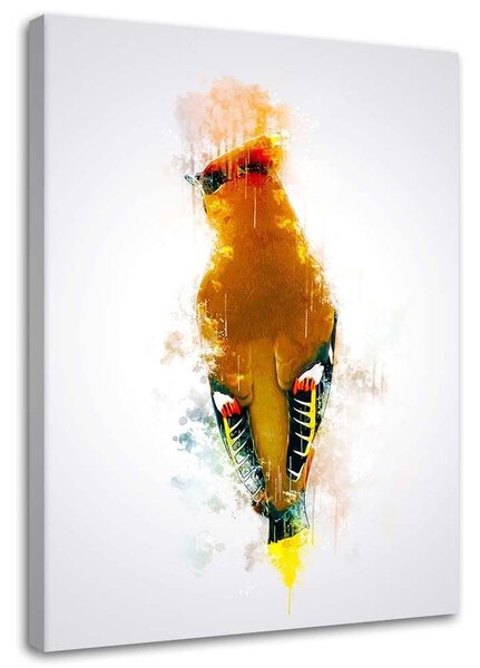 Gario Vászonkép Narancssárga harkály - Cornel Vlad Méret: 40 x 60 cm