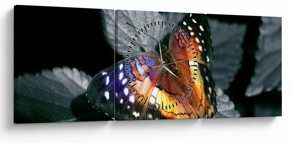 Pillangó képe (órával) (90x30 cm)