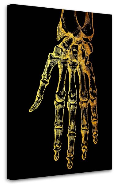 Gario Vászonkép Arany anatómia, kéz - Gab Fernando Méret: 40 x 60 cm