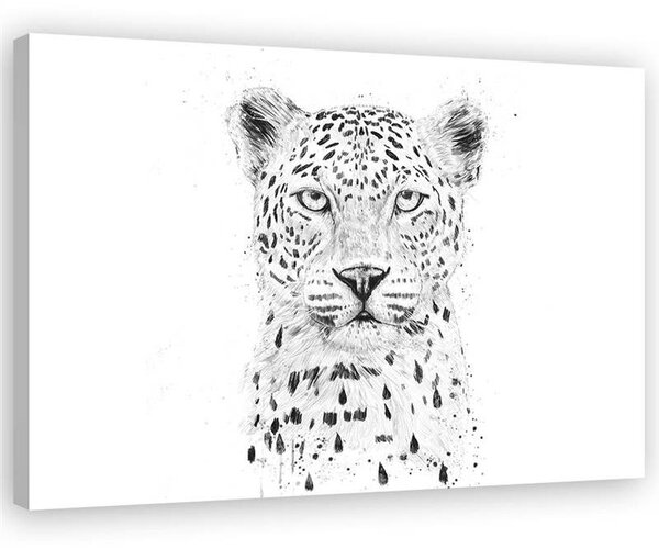 Gario Vászonkép Nagy leopárd fej - Rykker Méret: 60 x 40 cm