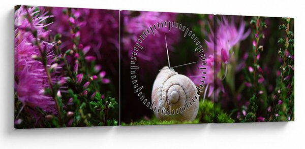 Kép - Csigaház (órával) (90x30 cm)