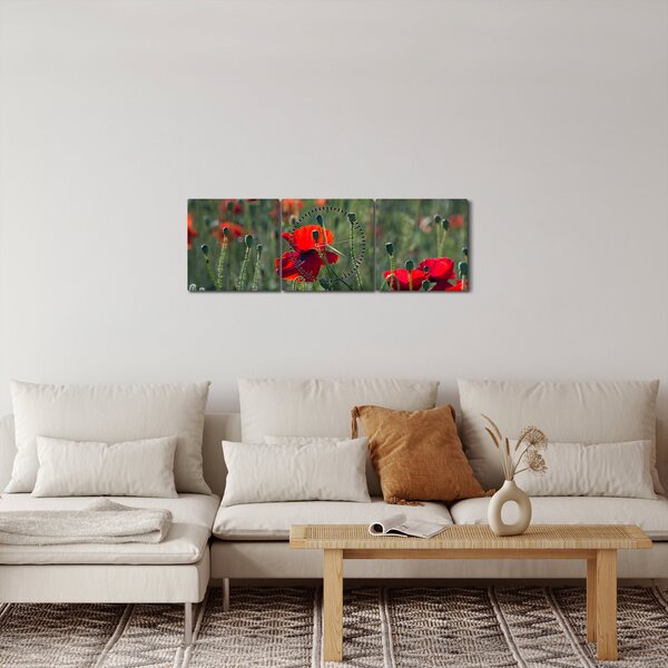 Kép - Rét mák virággal (órával) (90x30 cm)