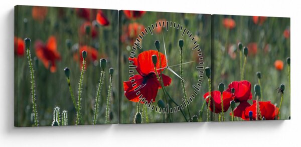 Kép - Rét mák virággal (órával) (90x30 cm)