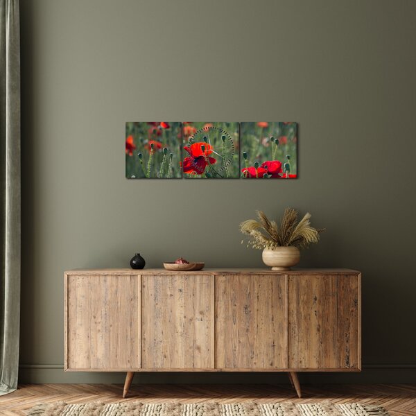 Kép - Rét mák virággal (órával) (90x30 cm)