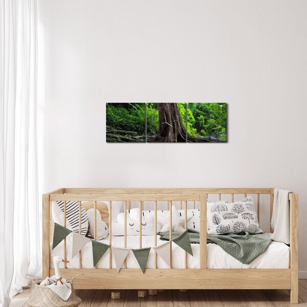 Kép - Öreg fa gyökere (órával) (90x30 cm)