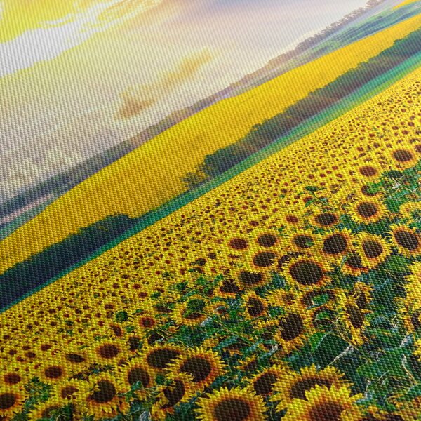 Kép - Napraforgó mező (90x60 cm)