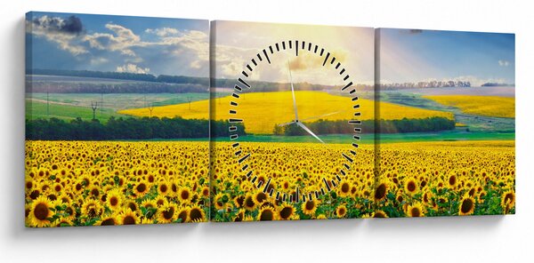 Kép - Napraforgó mező (órával) (90x30 cm)