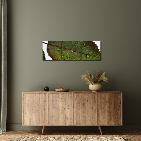 Kép - Rózsalevél (órával) (90x30 cm)