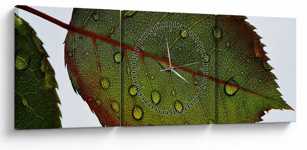 Kép - Rózsalevél (órával) (90x30 cm)