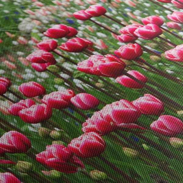 Tulipán képe (90x60 cm)