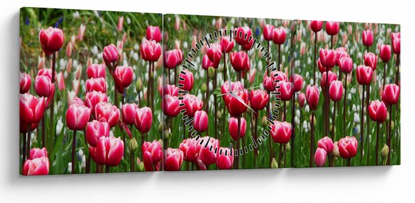Tulipán képe (órával) (90x30 cm)