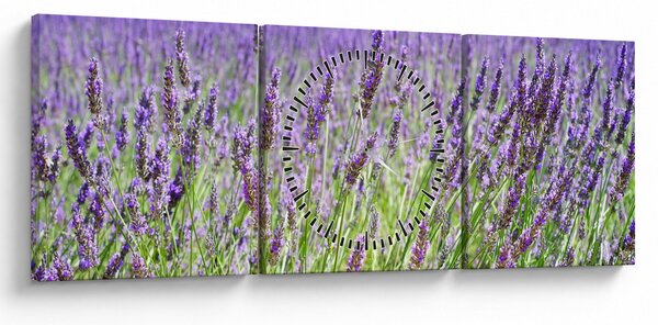 Egy mező képe a levendulával (órával) (90x30 cm)