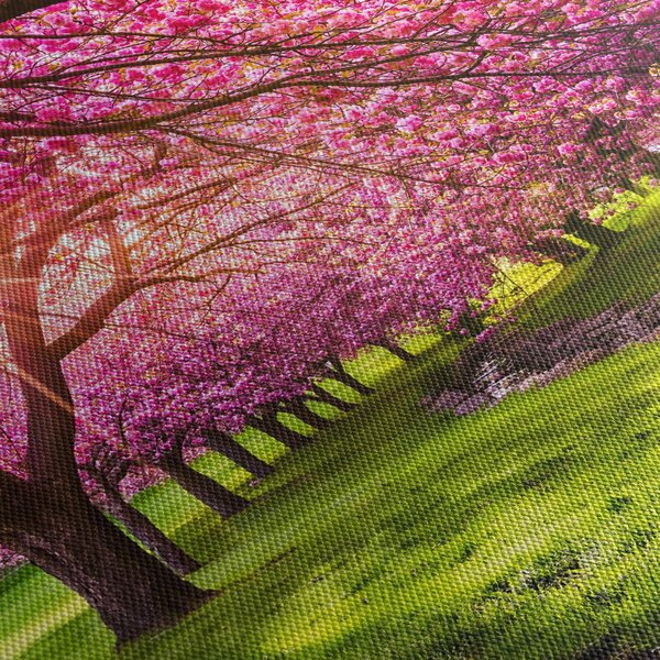 A virágzó cseresznye képe, Hurd Park, Dover, New Jersey (órával) (90x30 cm)