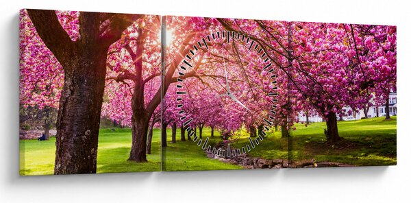 A virágzó cseresznye képe, Hurd Park, Dover, New Jersey (órával) (90x30 cm)