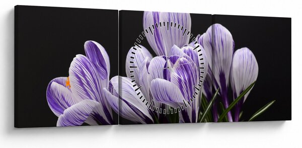 Kép - Lila krókuszok (órával) (90x30 cm)