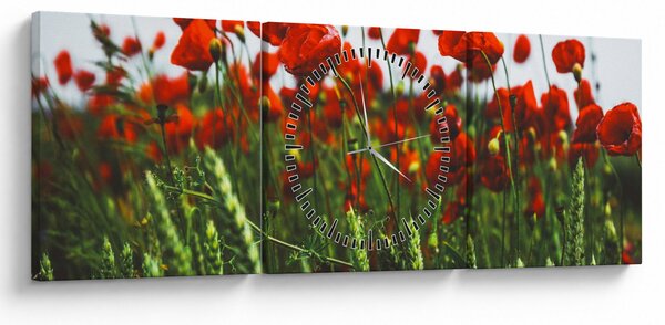 A pipacsok képe a szélben (órával) (90x30 cm)