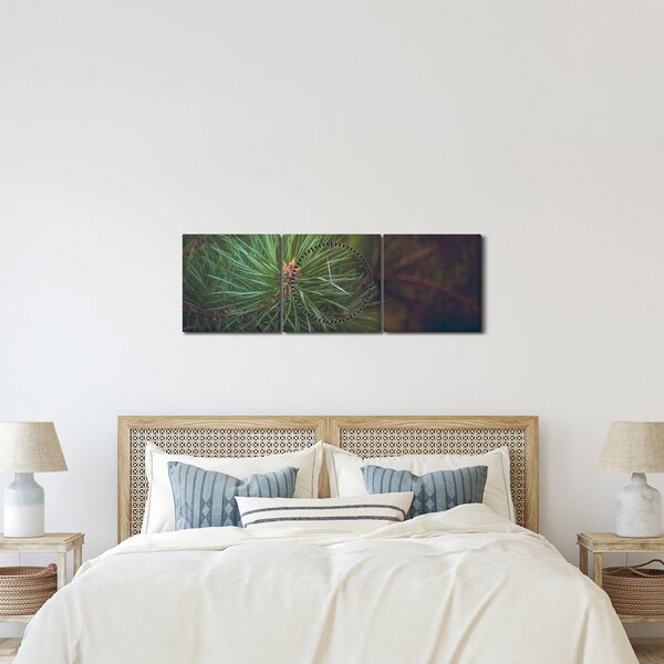 Kép - Fenyőfa részlete (órával) (90x30 cm)