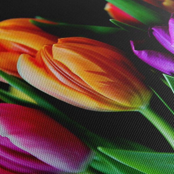 Tulipánok képe fekete alapon (70x50 cm)