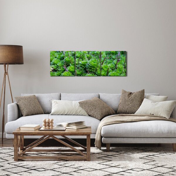 A pozsgás növények képe (órával) (90x30 cm)