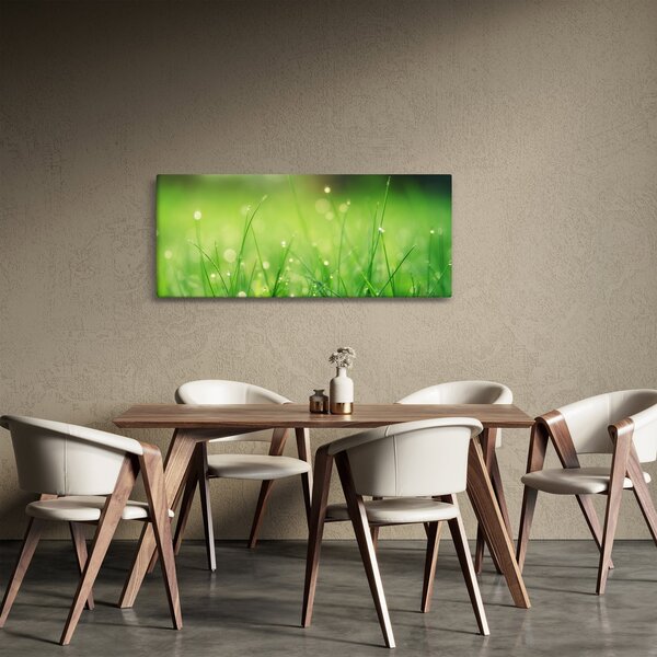 Kép - harmatos fű (120x50 cm)