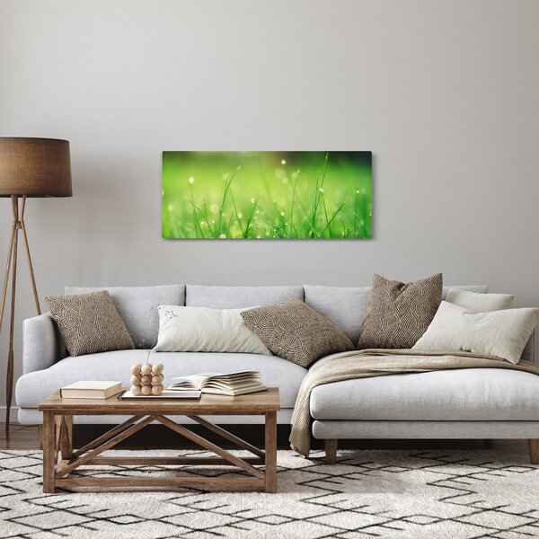 Kép - harmatos fű (120x50 cm)