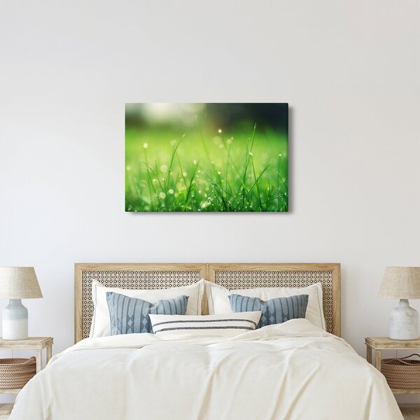 Kép - harmatos fű (90x60 cm)