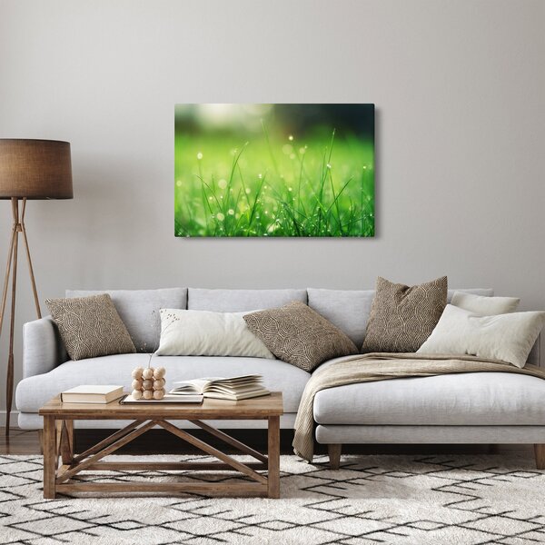 Kép - harmatos fű (90x60 cm)
