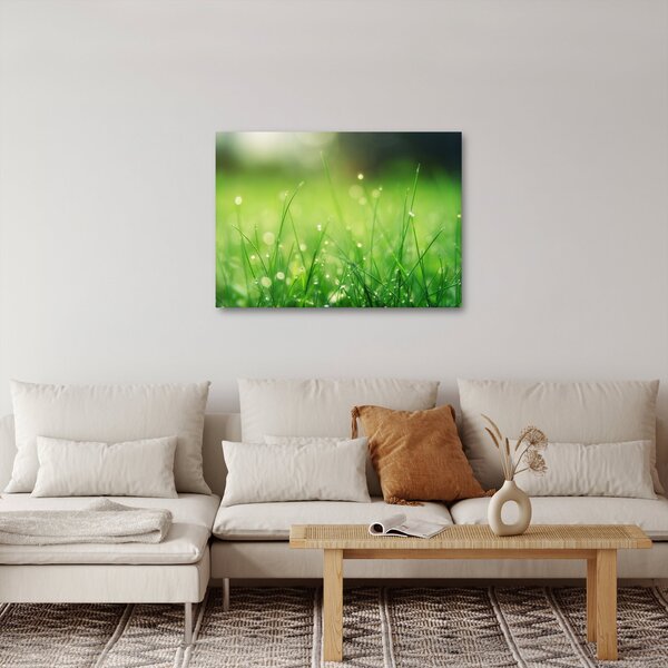 Kép - harmatos fű (70x50 cm)