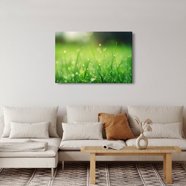 Kép - harmatos fű (90x60 cm)