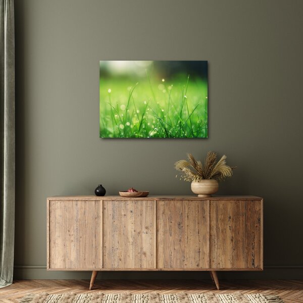 Kép - harmatos fű (70x50 cm)