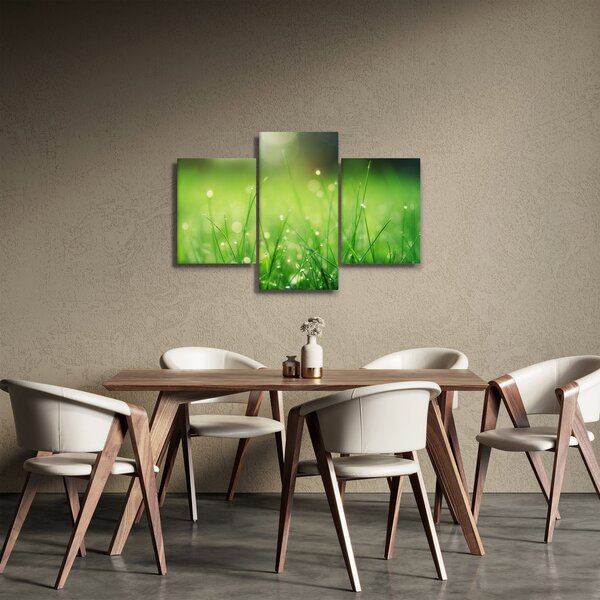 Kép - harmatos fű (90x60 cm)