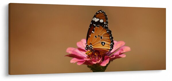 Pillangó képe a virágon (120x50 cm)