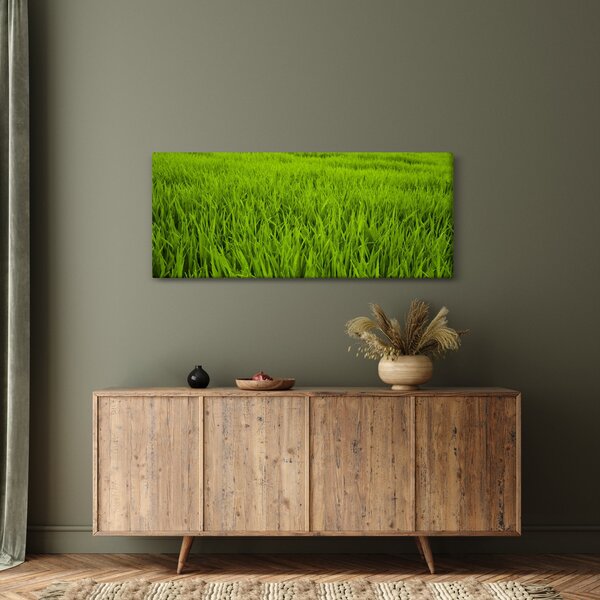 A fű képe (120x50 cm)