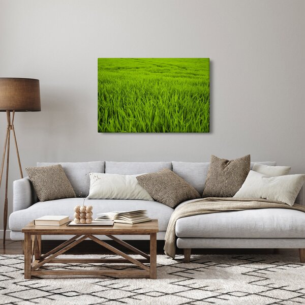 A fű képe (90x60 cm)