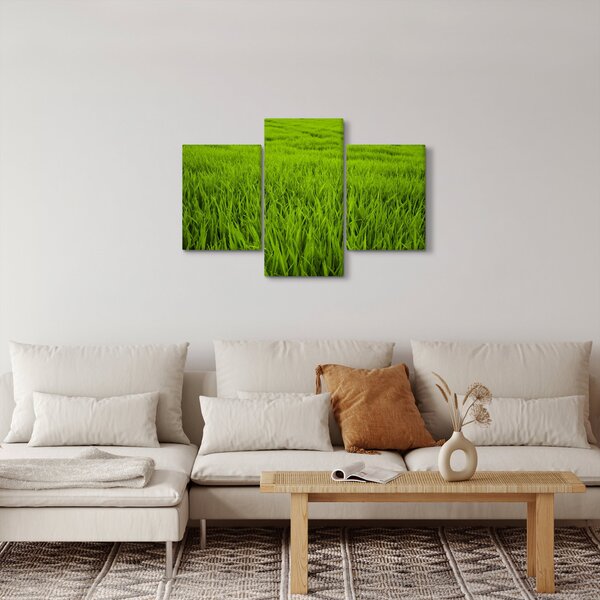 A fű képe (90x60 cm)