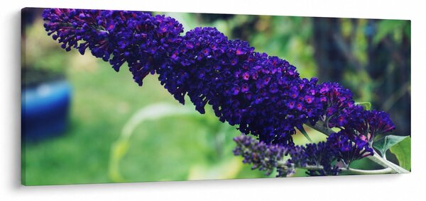 Kék virág képe (120x50 cm)